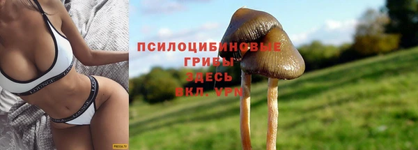 меф Медногорск