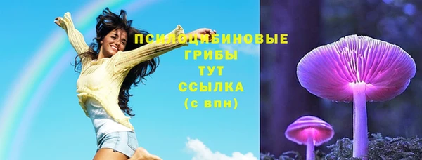 меф Медногорск