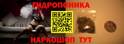 амф Обь