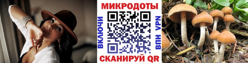 Галлюциногенные грибы мухоморы  Уссурийск 