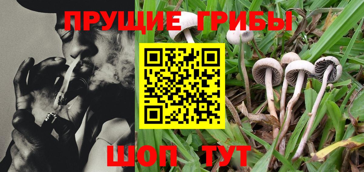Псилоцибиновые грибы Psilocybine cubensis  Вход с VPN  Уссурийск 